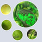 Effectieve algenbestrijding voor aquariums