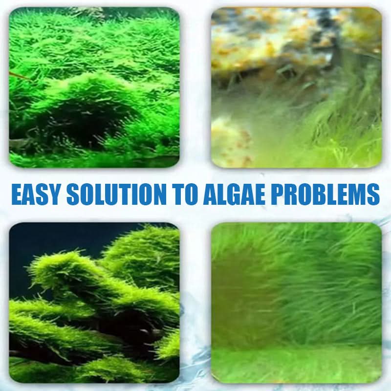 Effectieve algenbestrijding voor aquariums