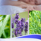 🏖️🌼 Anti-muggencrème met essentiële plantaardige olie