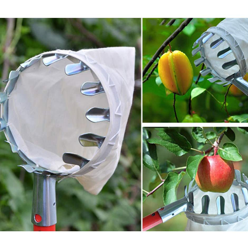 Fruitplukker Hoofdmand