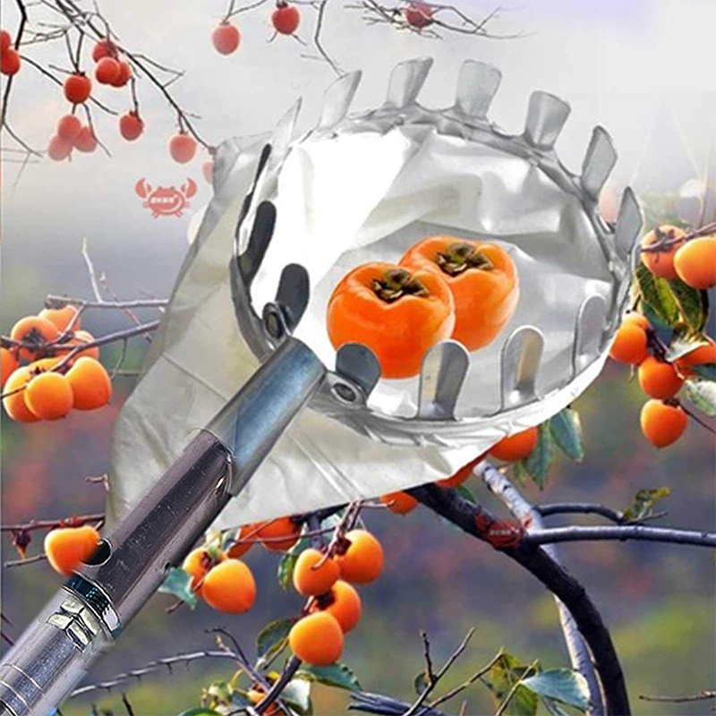 Fruitplukker Hoofdmand
