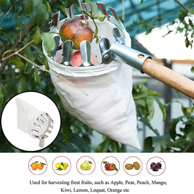 Fruitplukker Hoofdmand