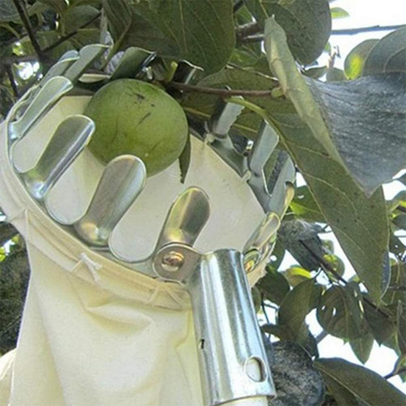Fruitplukker Hoofdmand
