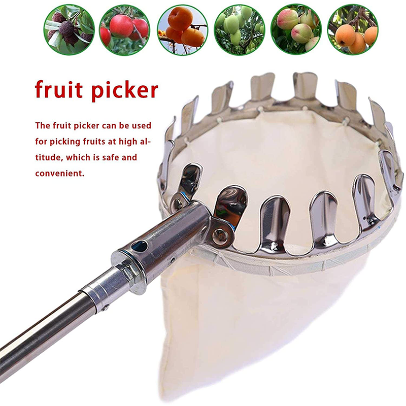 Fruitplukker Hoofdmand