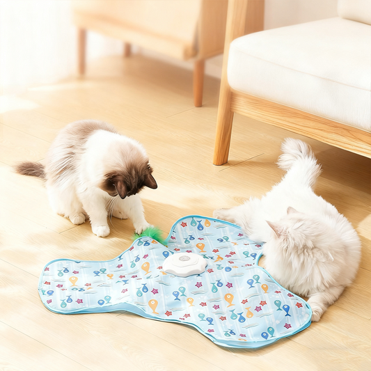 🔥⏰2-in-1 verstoppertje kattenspeeltje😻
