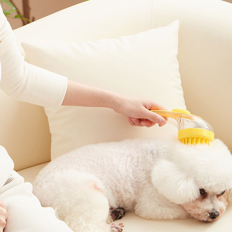 🌞Fris De Lente In Met 50% Korting!🐾 Huisdieren Badborstel met Lange Steel & Shampoodispenser – 2 Borstelopties & Zacht Schrobben voor Painless Wasbeurten!