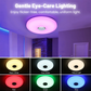 Slimme LED-muziekplafondlamp met Bluetooth-luidspreker