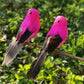 12 stuks kunstvogels met veren en clips