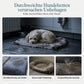 ✨NU 50% KORTING! ✨Afneembaar ovaal huisdierbed van polarfleece en Oxford-stof met vochtwerende, antislip bodem en sponsvulling voor honden en katten